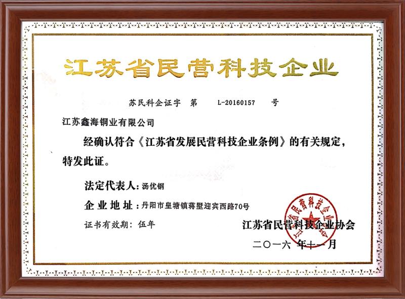 江蘇省民營科技企業