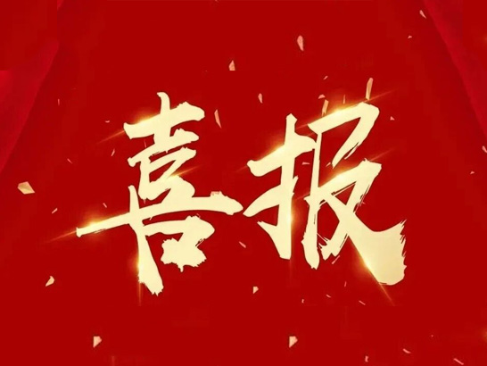 楚江新材上榜2025安徽省民營企業百強！